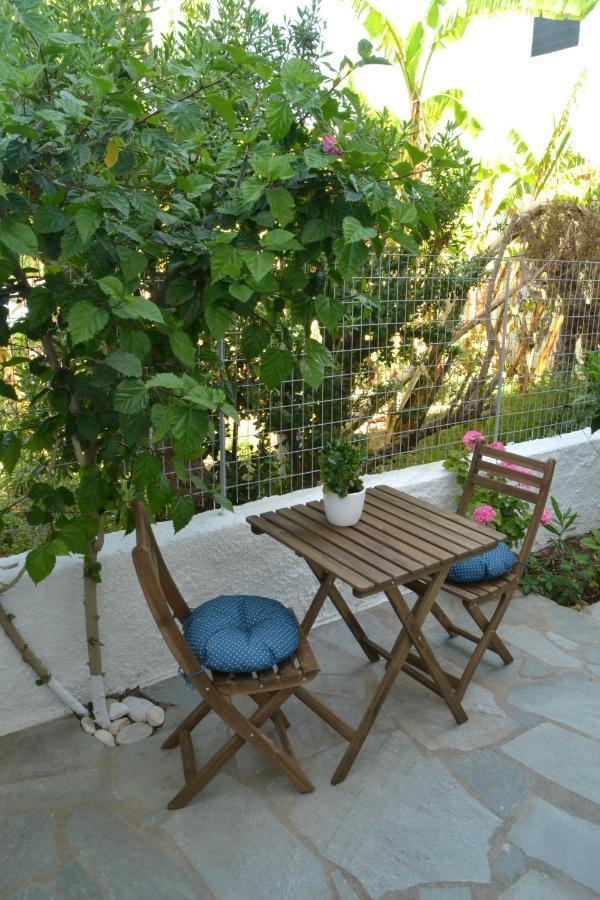 Hibiscus House Daire Parikia  Dış mekan fotoğraf